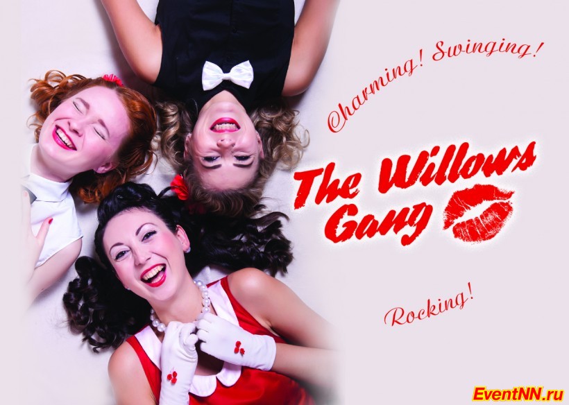  The Willows Gang. . +7 (920) 030-23-58